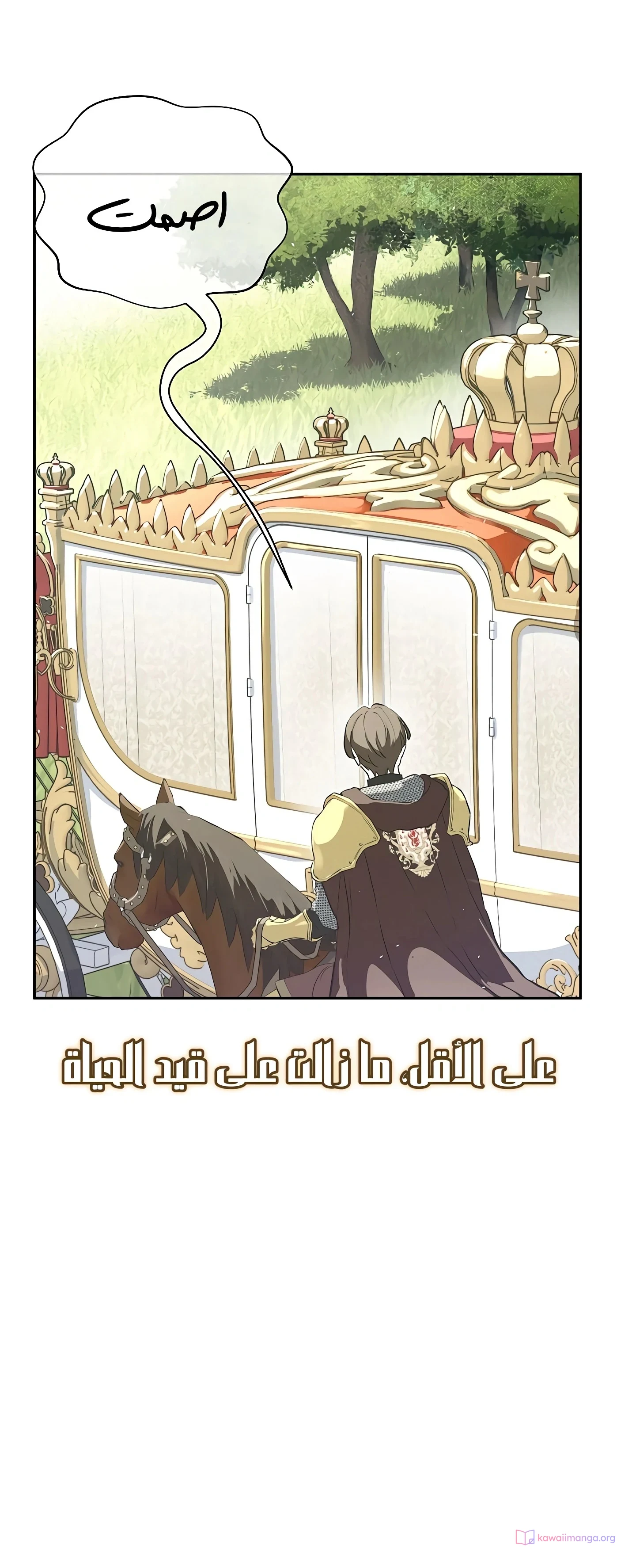 Read The Forgotten Field AR Manga Online