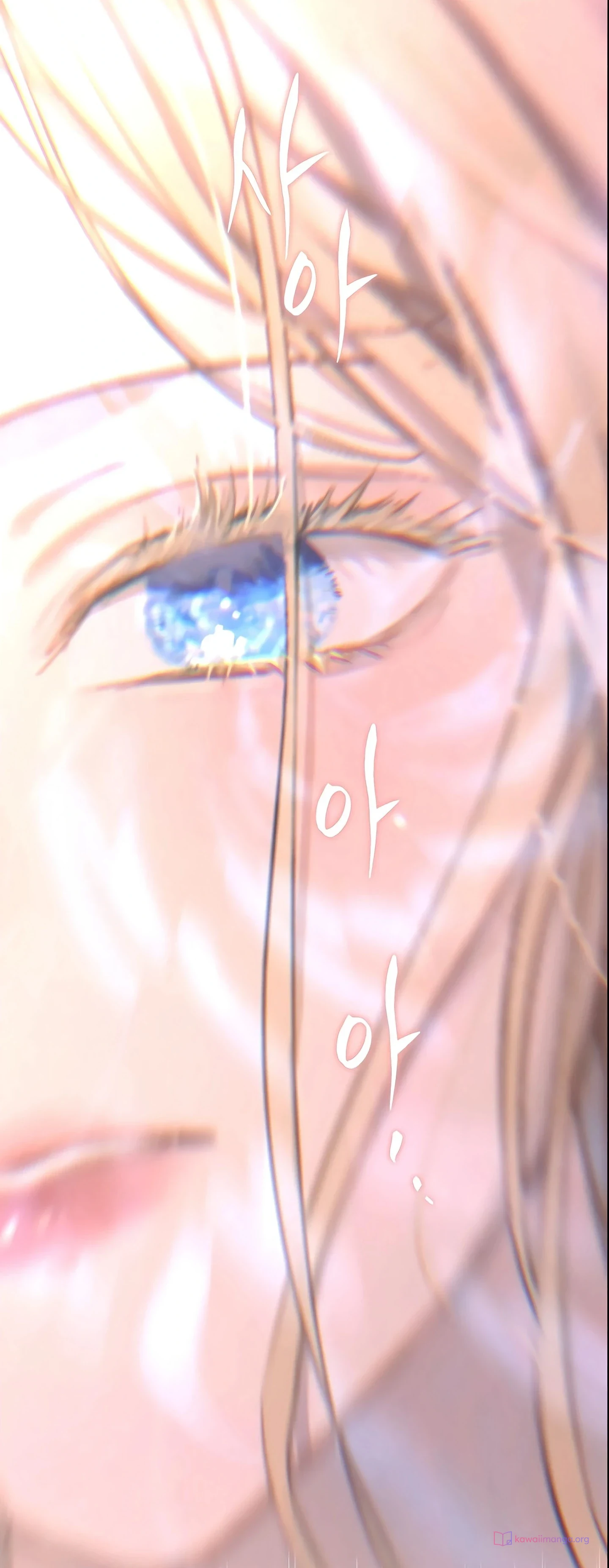 Read The Forgotten Field AR Manga Online
