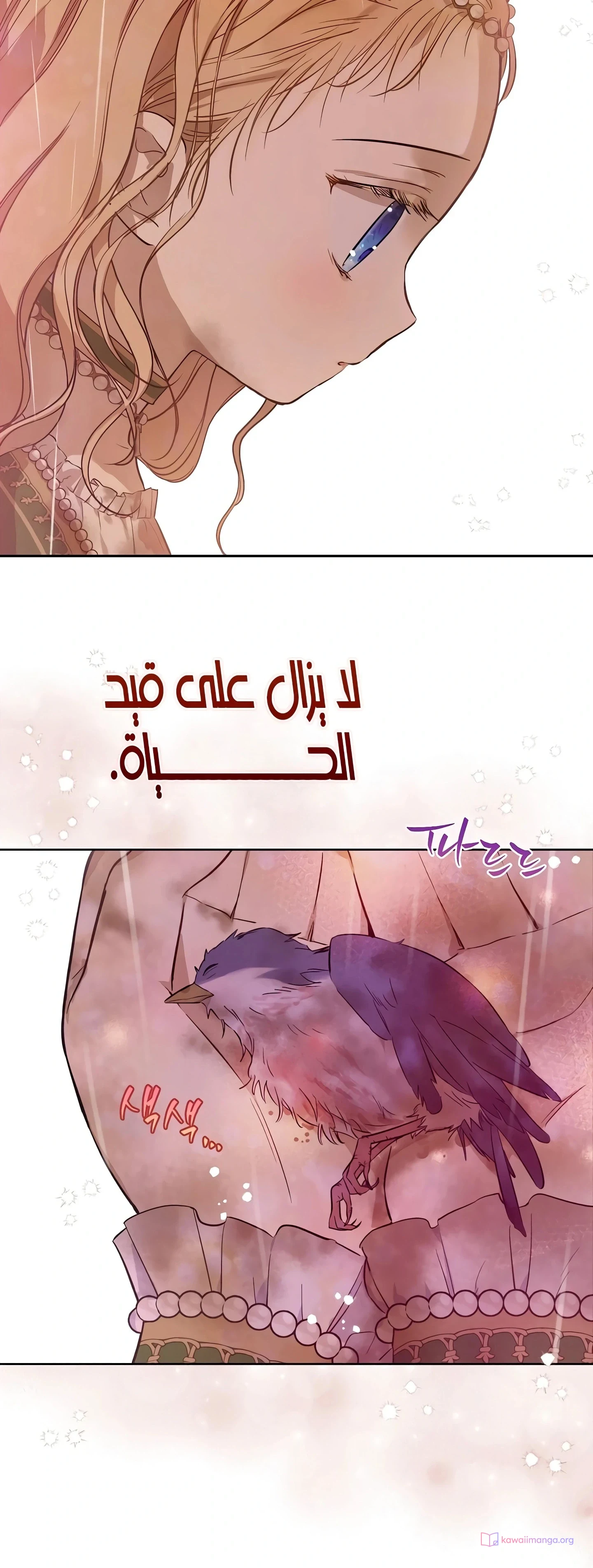 Read The Forgotten Field AR Manga Online