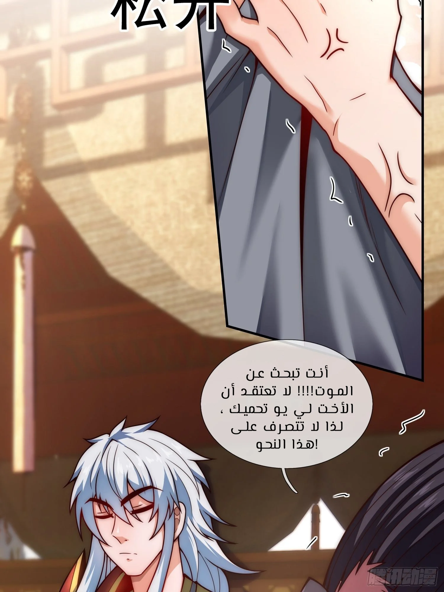 Read The Heavenly Conqueror AR Manga Online
