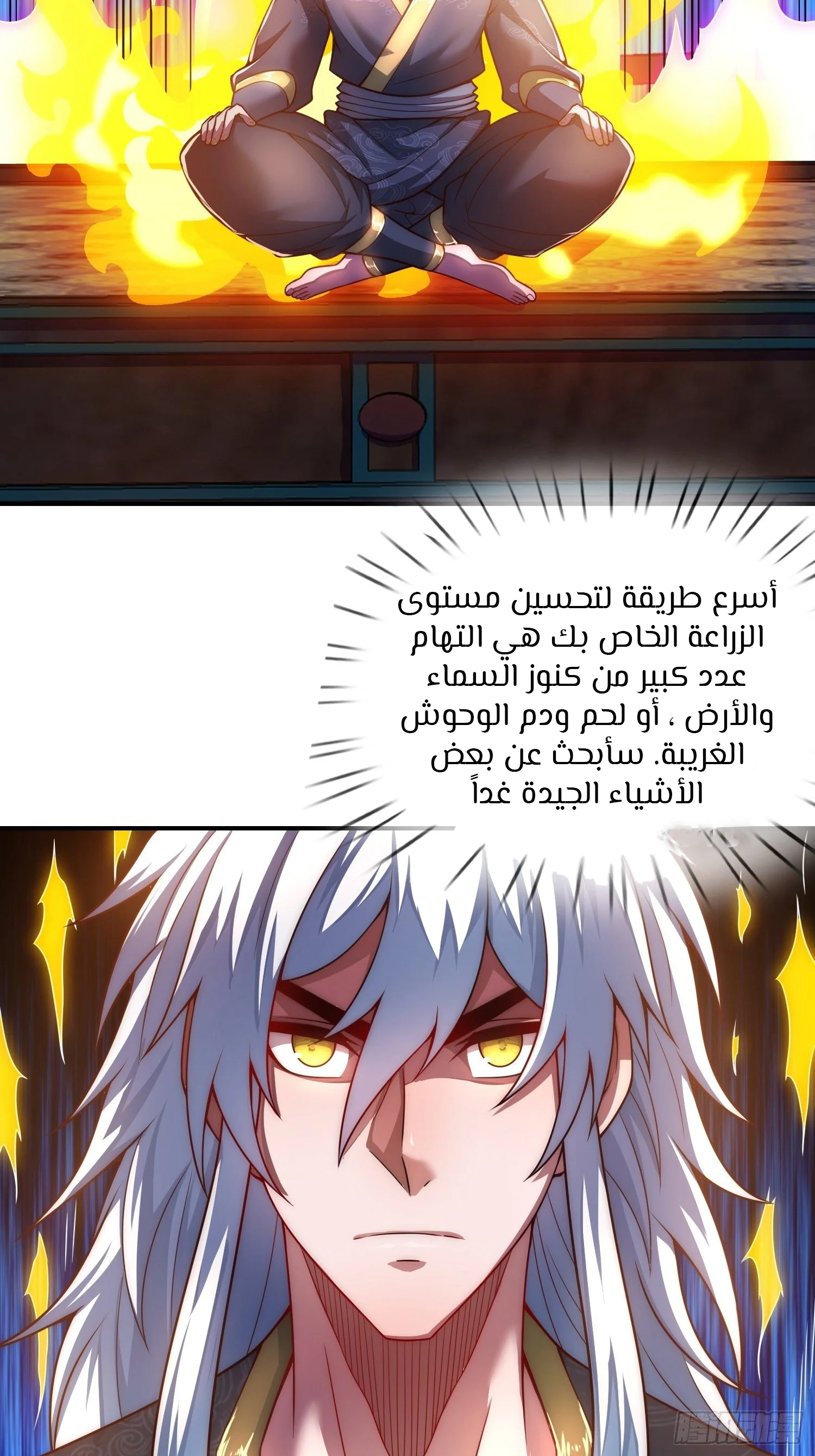 Read The Heavenly Conqueror AR Manga Online