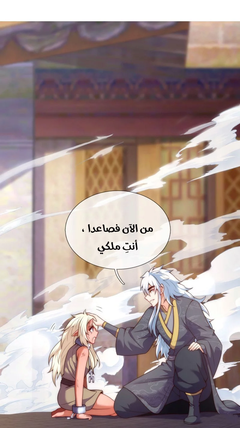 Read The Heavenly Conqueror AR Manga Online