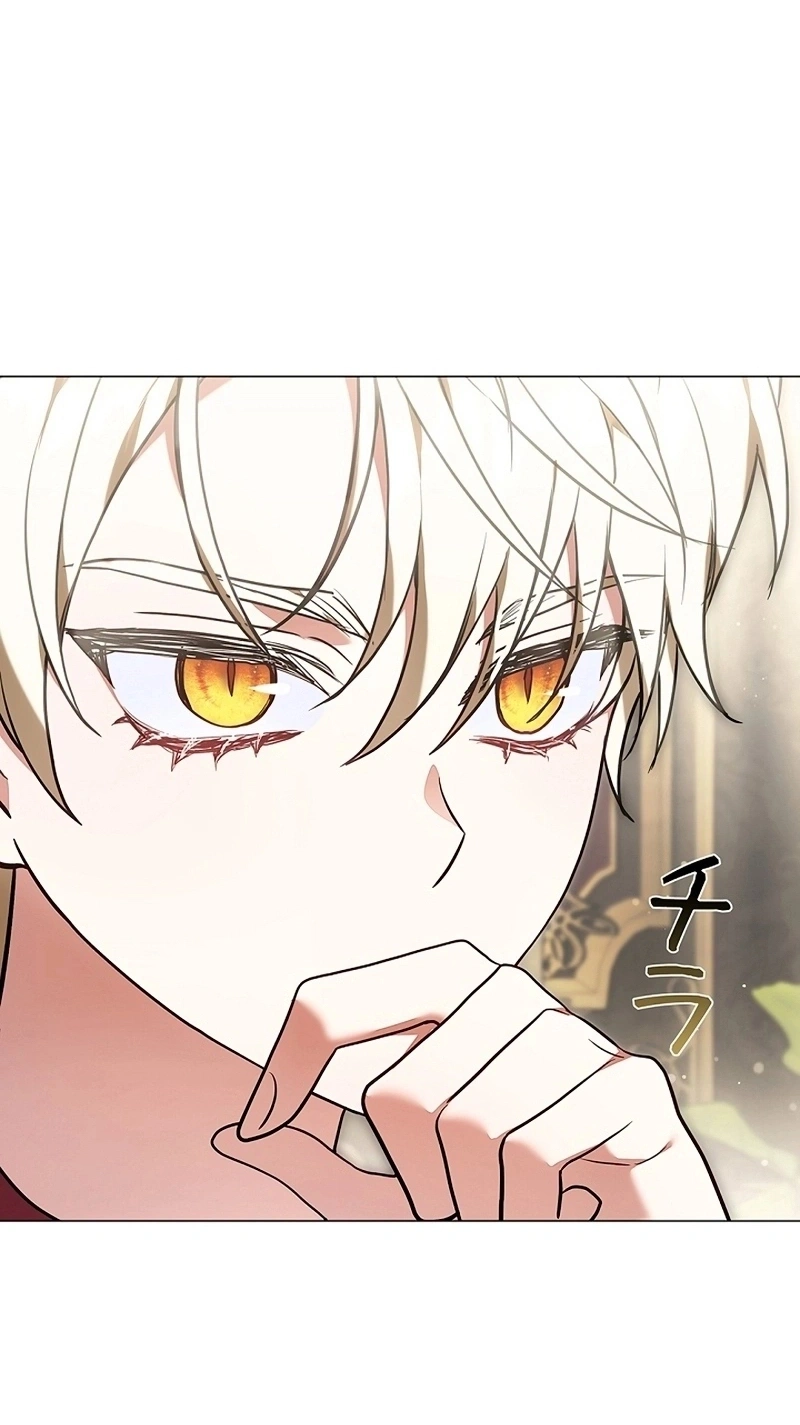 Read The Lady Is a Stalker AR Manga Online