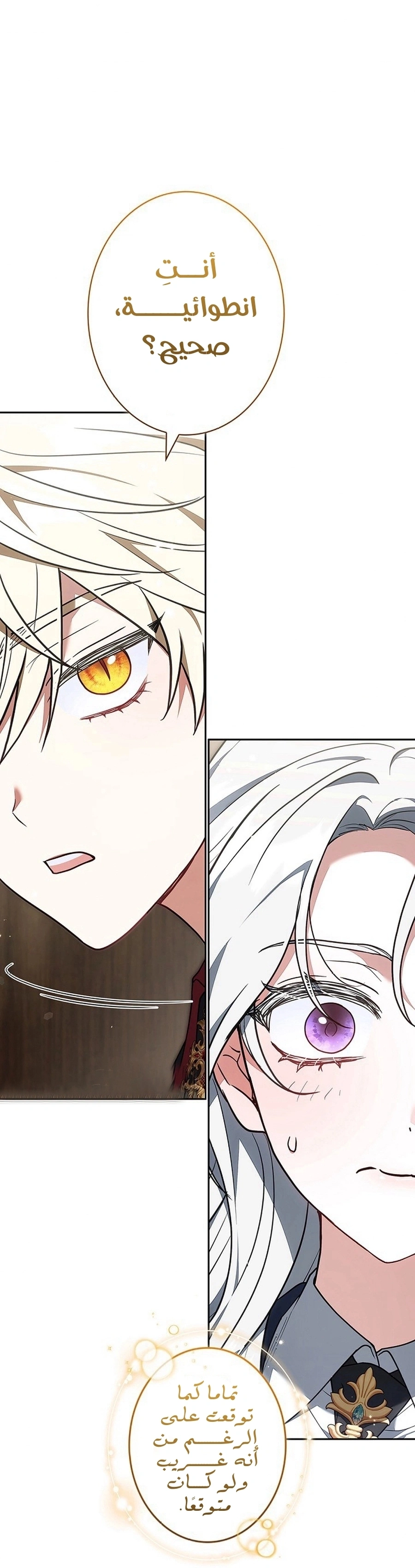 Read The Lady Is a Stalker AR Manga Online