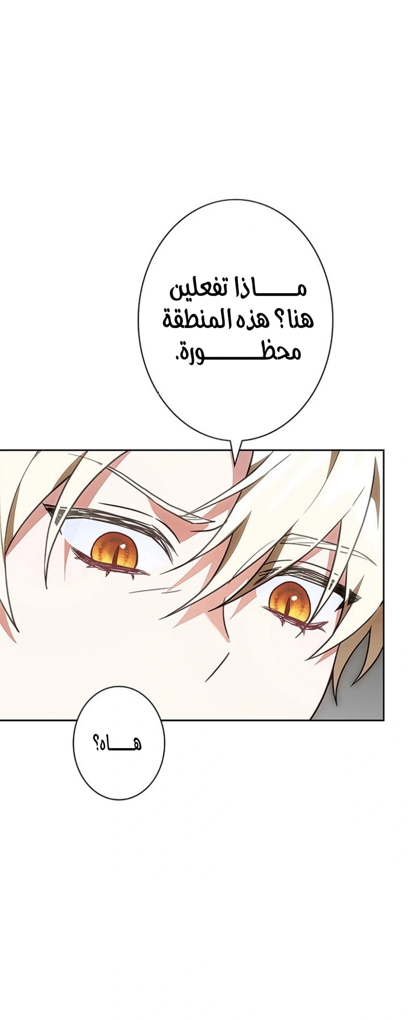 Read The Lady Is a Stalker AR Manga Online