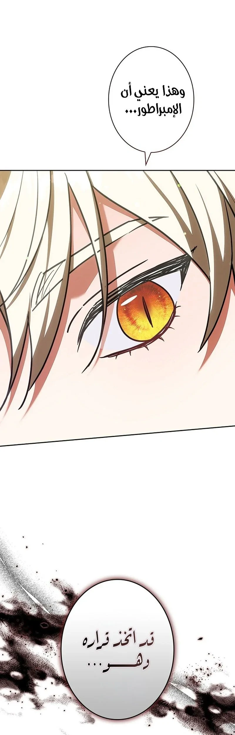 Read The Lady Is a Stalker AR Manga Online