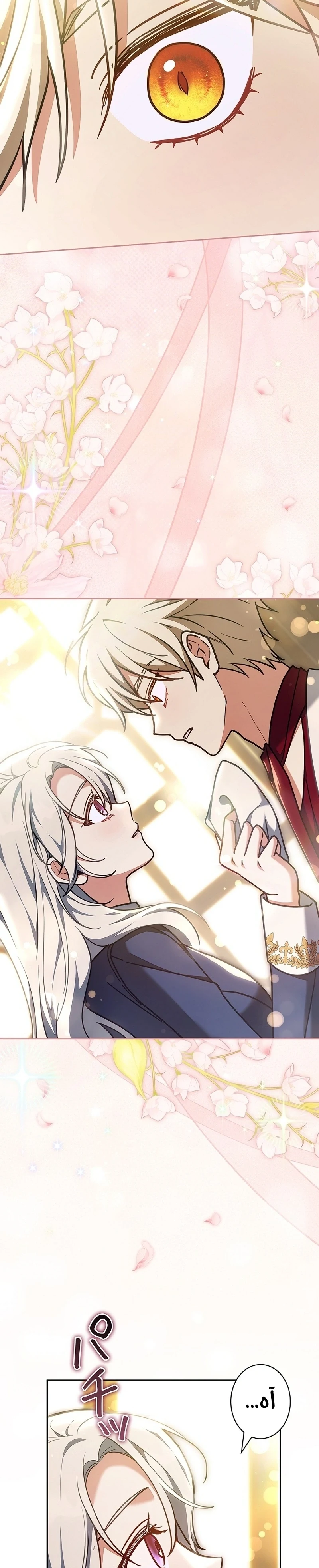 Read The Lady Is a Stalker AR Manga Online