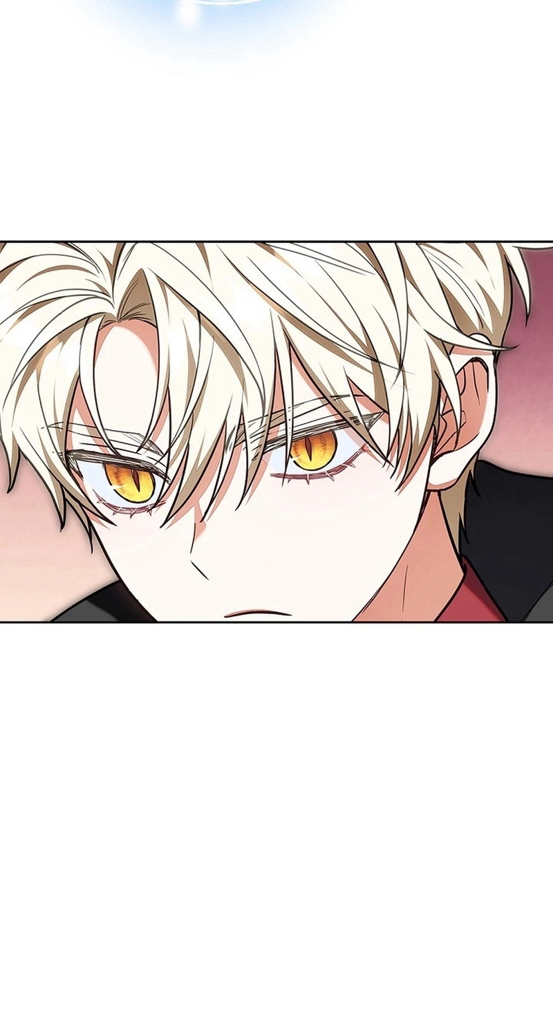 Read The Lady Is a Stalker AR Manga Online