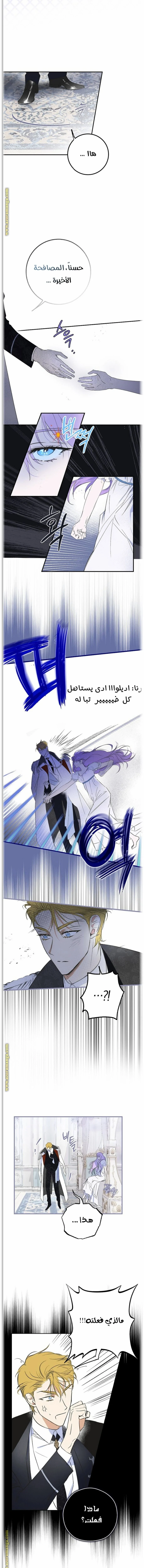 Read The Male Leads Were Stolen By The Extra AR Manga Online