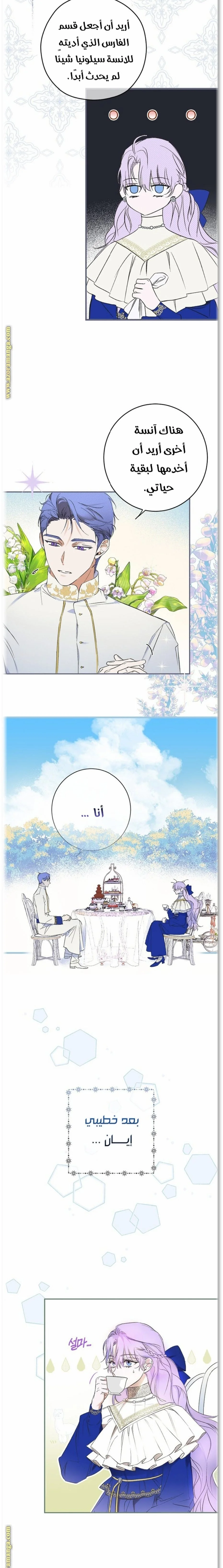 Read The Male Leads Were Stolen By The Extra AR Manga Online