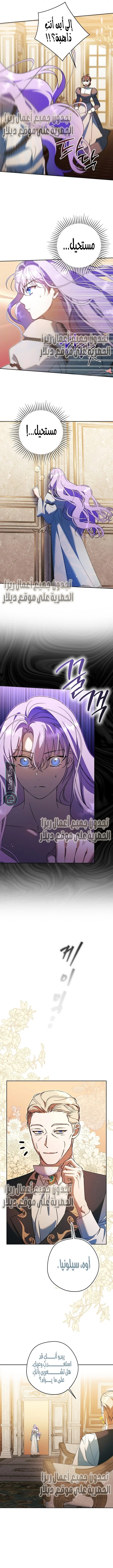 Read The Male Leads Were Stolen By The Extra AR Manga Online