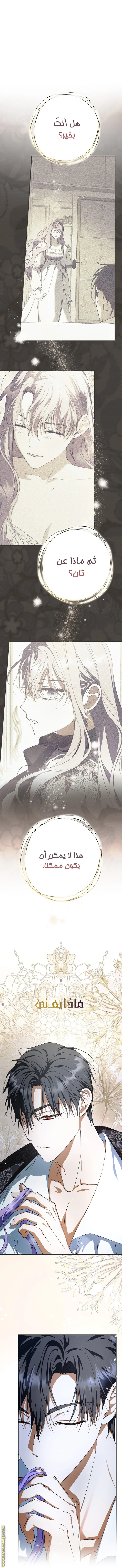 Read The Male Leads Were Stolen By The Extra AR Manga Online