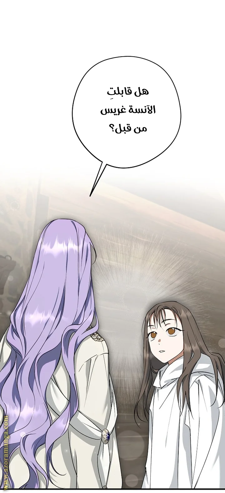 Read The Male Leads Were Stolen By The Extra AR Manga Online