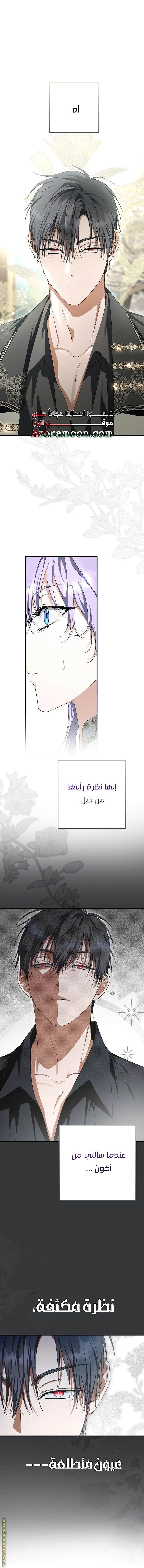 Read The Male Leads Were Stolen By The Extra AR Manga Online
