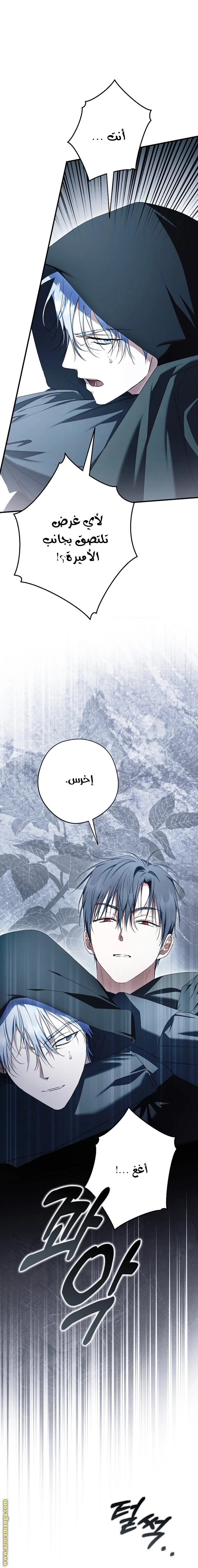 Read The Male Leads Were Stolen By The Extra AR Manga Online