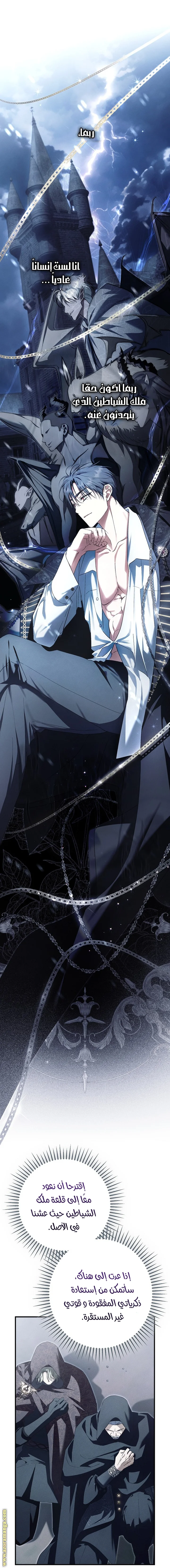 Read The Male Leads Were Stolen By The Extra AR Manga Online