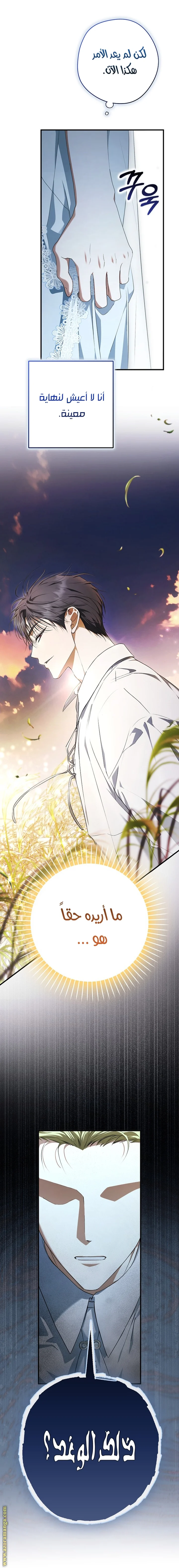 Read The Male Leads Were Stolen By The Extra AR Manga Online