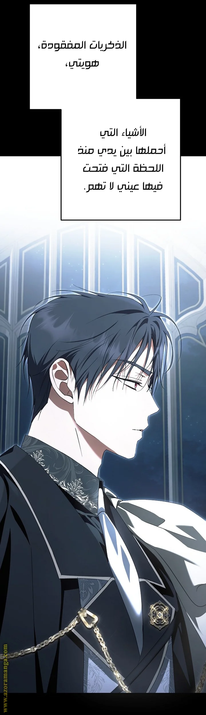 Read The Male Leads Were Stolen By The Extra AR Manga Online