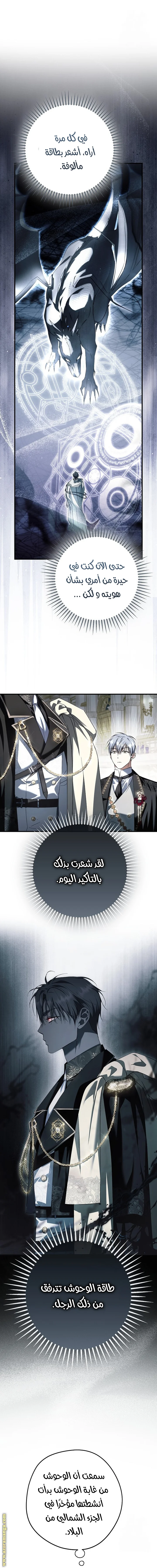 Read The Male Leads Were Stolen By The Extra AR Manga Online