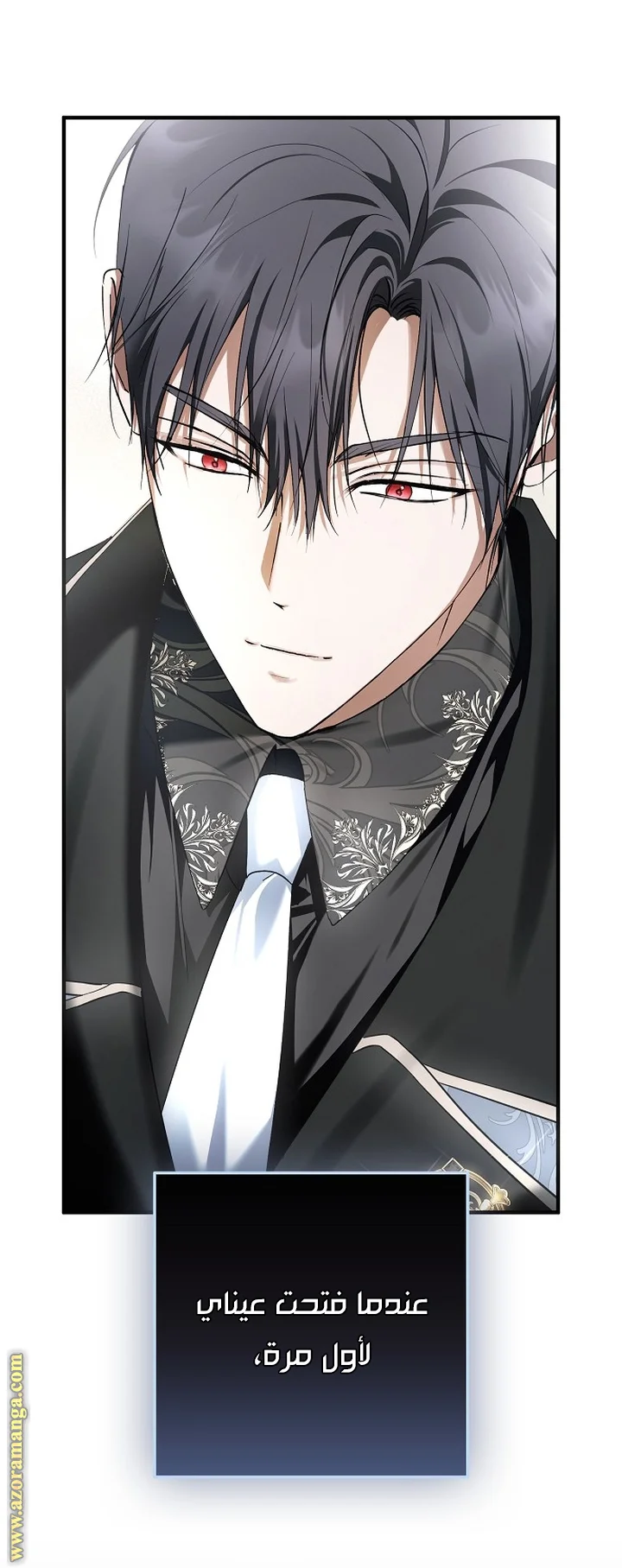 Read The Male Leads Were Stolen By The Extra AR Manga Online