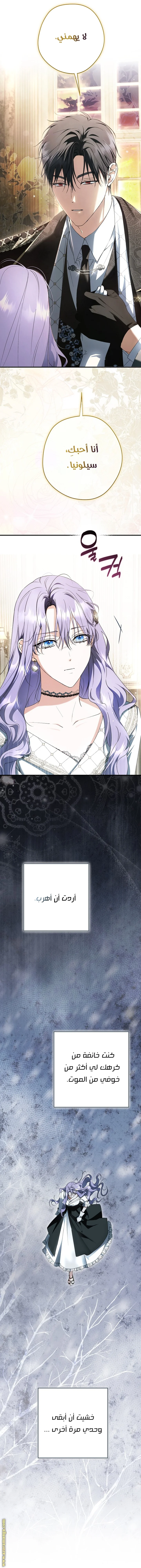 Read The Male Leads Were Stolen By The Extra AR Manga Online