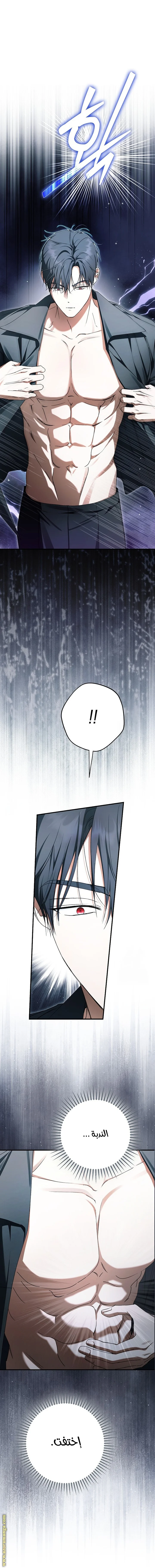 Read The Male Leads Were Stolen By The Extra AR Manga Online