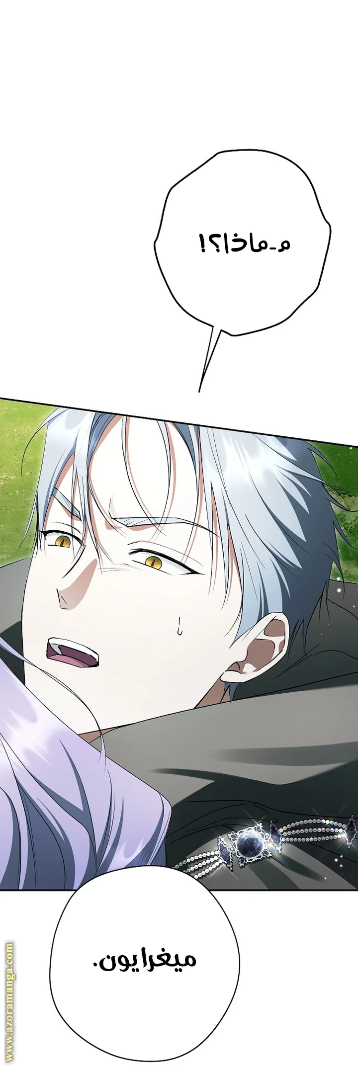 Read The Male Leads Were Stolen By The Extra AR Manga Online