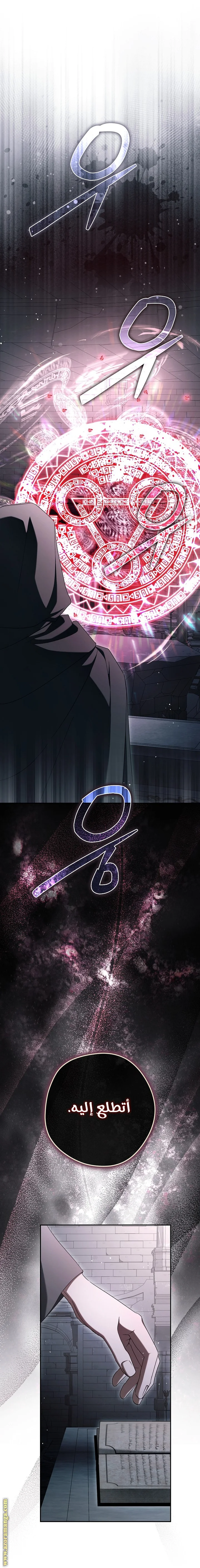 Read The Male Leads Were Stolen By The Extra AR Manga Online