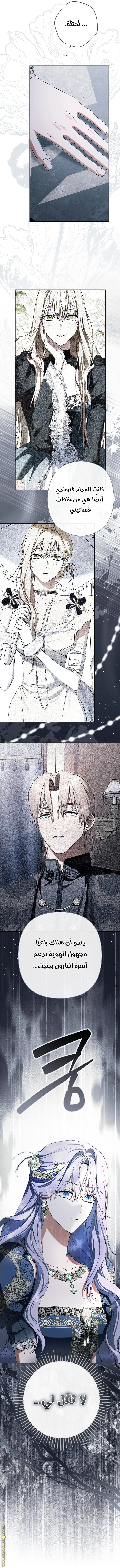 Read The Male Leads Were Stolen By The Extra AR Manga Online