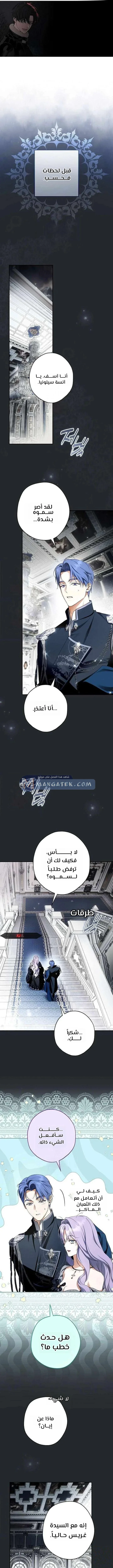 Read The Male Leads Were Stolen By The Extra AR Manga Online