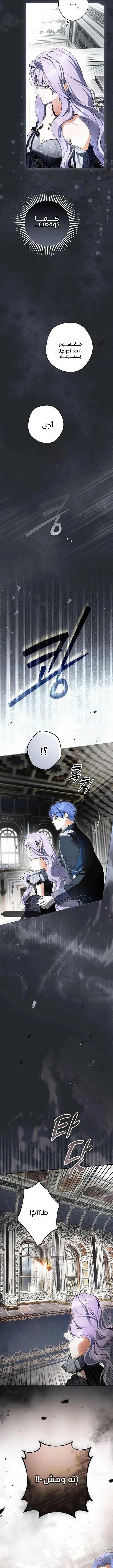 Read The Male Leads Were Stolen By The Extra AR Manga Online