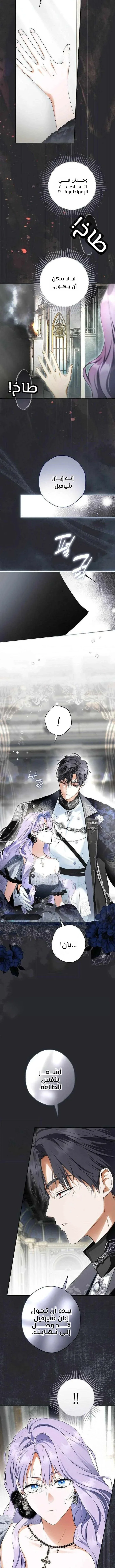Read The Male Leads Were Stolen By The Extra AR Manga Online