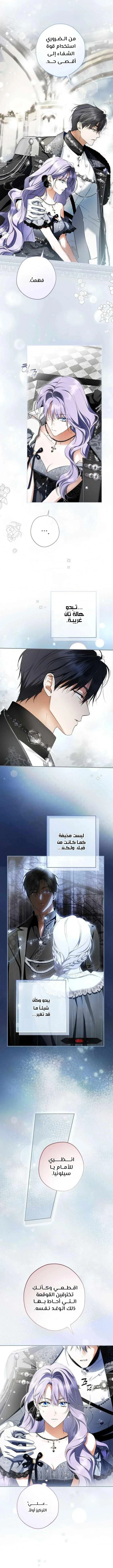 Read The Male Leads Were Stolen By The Extra AR Manga Online