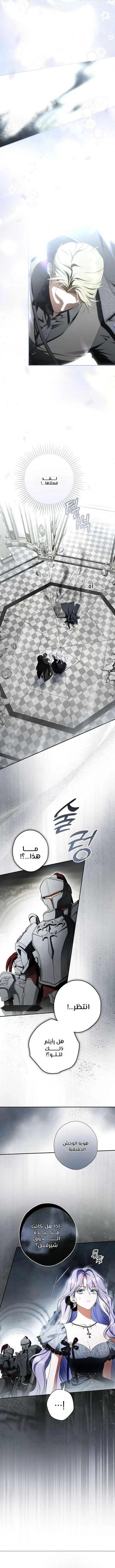 Read The Male Leads Were Stolen By The Extra AR Manga Online