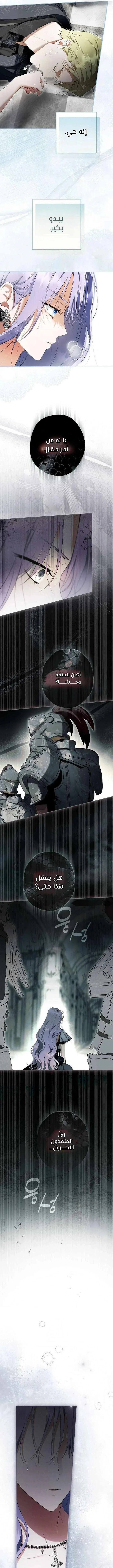 Read The Male Leads Were Stolen By The Extra AR Manga Online