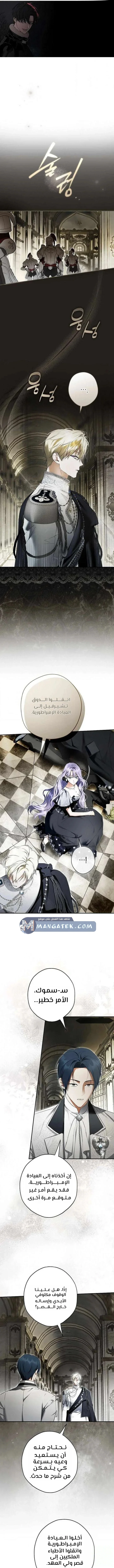 Read The Male Leads Were Stolen By The Extra AR Manga Online
