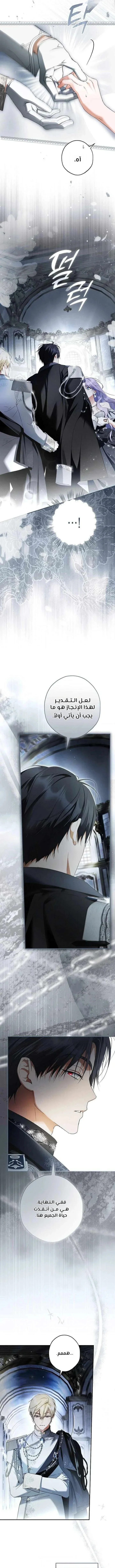 Read The Male Leads Were Stolen By The Extra AR Manga Online