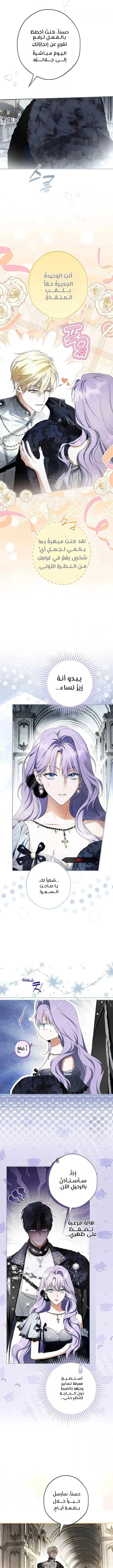 Read The Male Leads Were Stolen By The Extra AR Manga Online