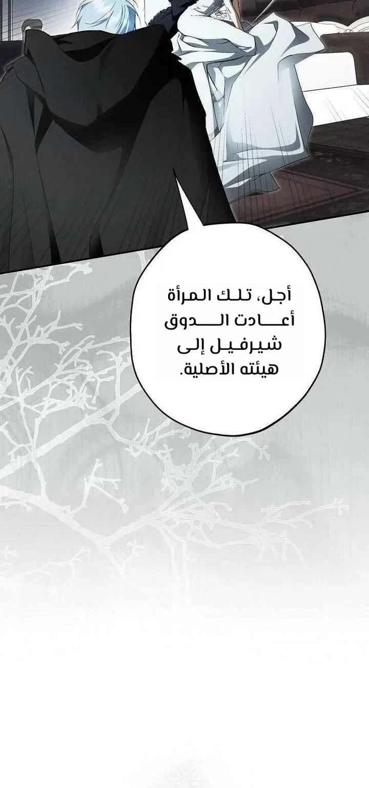 Read The Male Leads Were Stolen By The Extra AR Manga Online