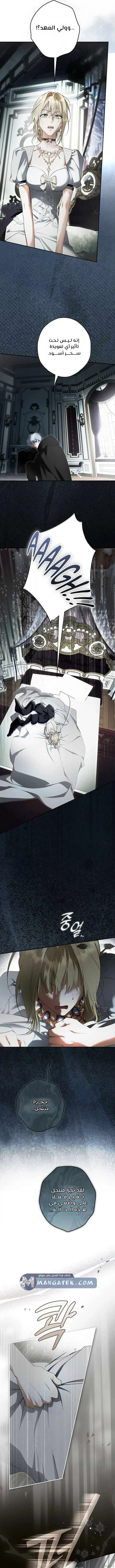 Read The Male Leads Were Stolen By The Extra AR Manga Online