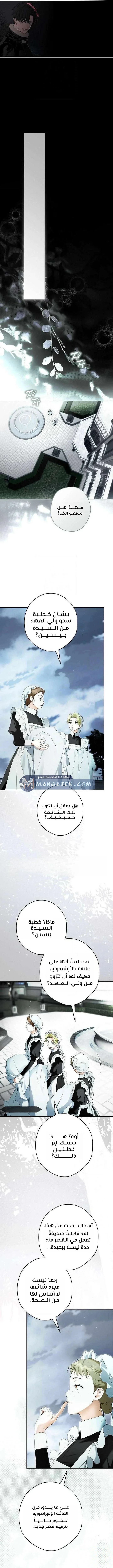 Read The Male Leads Were Stolen By The Extra AR Manga Online