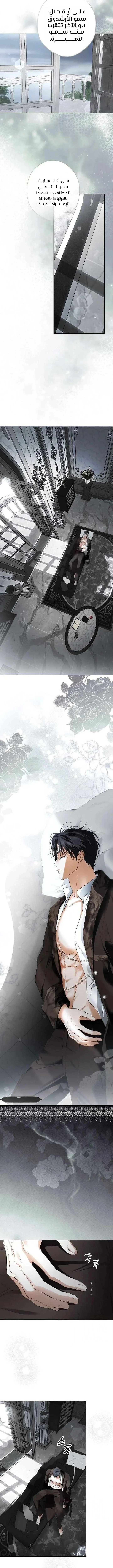 Read The Male Leads Were Stolen By The Extra AR Manga Online