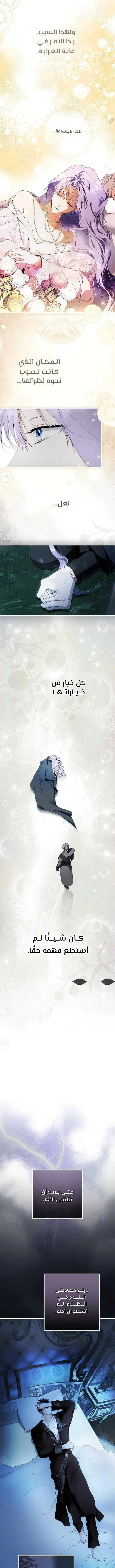 Read The Male Leads Were Stolen By The Extra AR Manga Online
