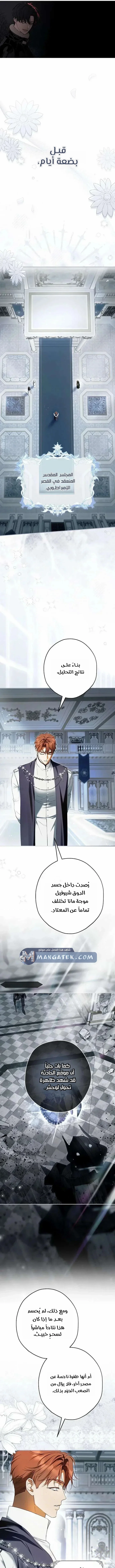 Read The Male Leads Were Stolen By The Extra AR Manga Online