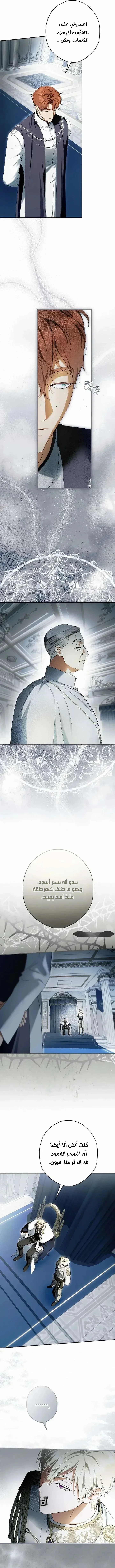 Read The Male Leads Were Stolen By The Extra AR Manga Online