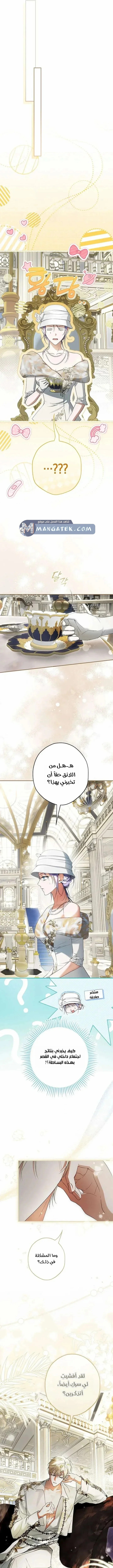 Read The Male Leads Were Stolen By The Extra AR Manga Online
