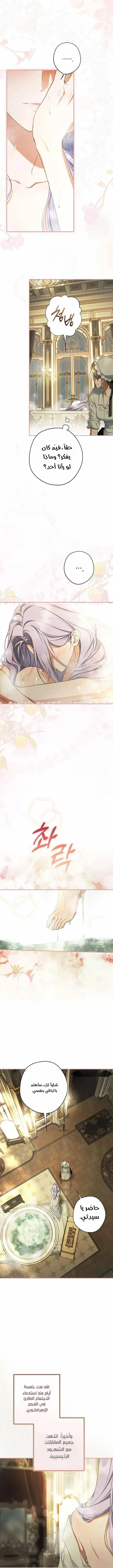 Read The Male Leads Were Stolen By The Extra AR Manga Online