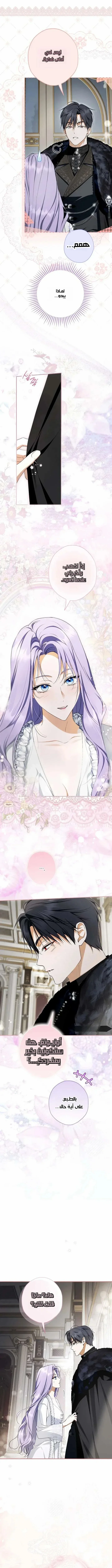 Read The Male Leads Were Stolen By The Extra AR Manga Online