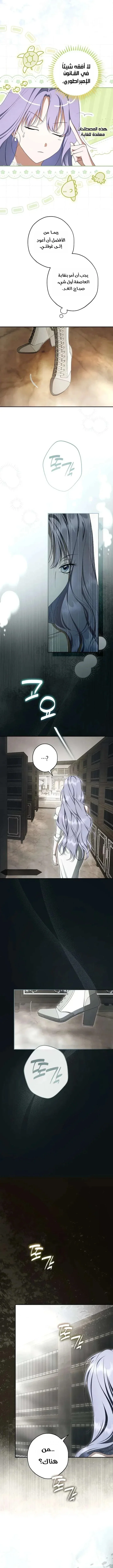 Read The Male Leads Were Stolen By The Extra AR Manga Online
