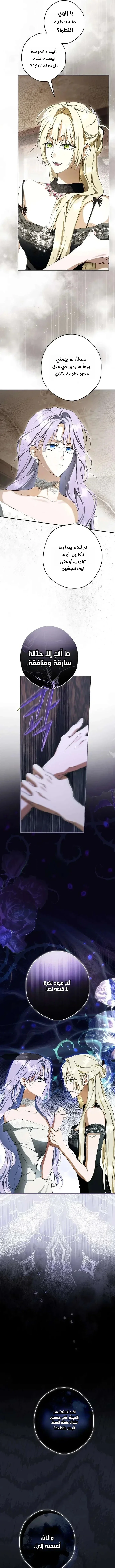Read The Male Leads Were Stolen By The Extra AR Manga Online